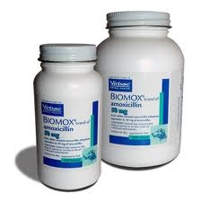 AMOXICILLIN 200MG TAB