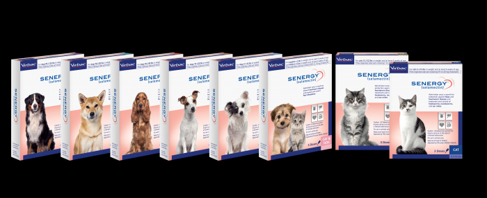 SENERGY TOPICAL-DOG 10.1-20LB BRN