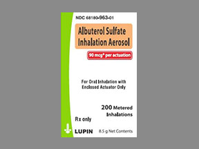 ALBUTEROL SULFATE 90MCG