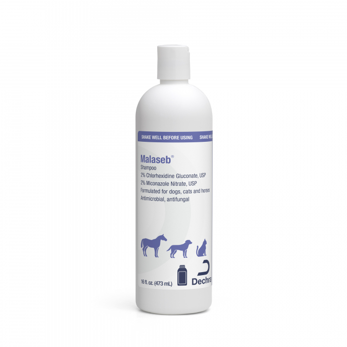 MALASEB SHAMPOO First Veterinary Supply