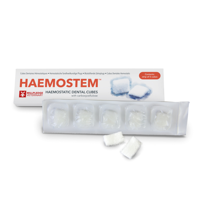 HAEMOSTEM DENTAL CUBES