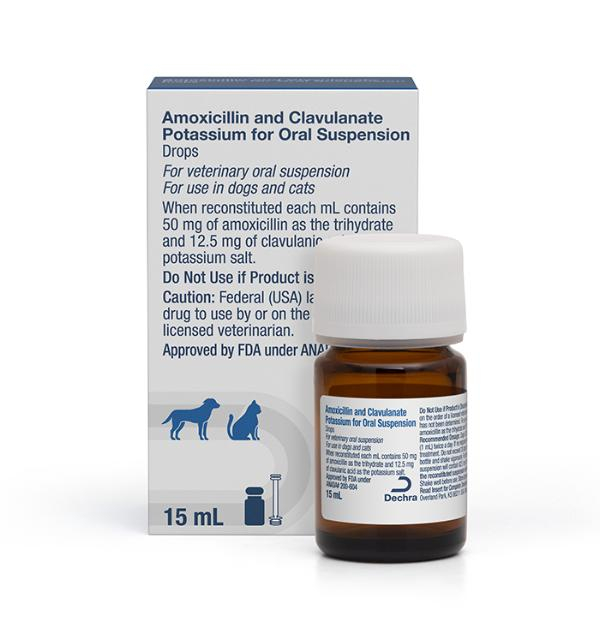 AMOXICLAV ORAL 15ML First Veterinary Supply