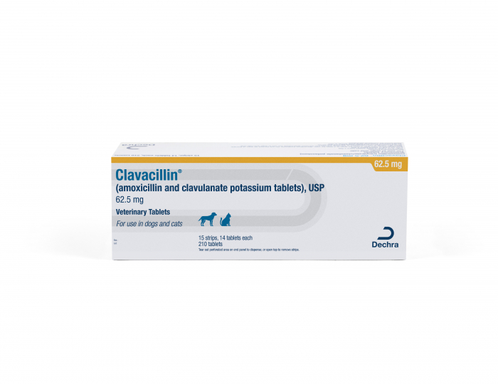 AMOXICILLIN/CLAVULANATE 62.5MG