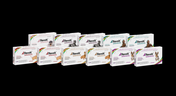 REVOLT (SELAMECTIN)DOG 5.1-10LBS