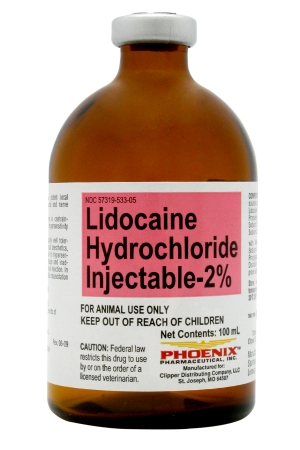 LIDOCAINE 2% INJ VET