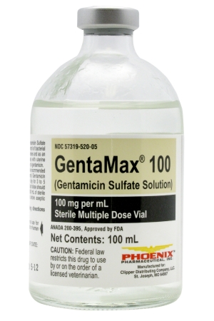 GENTAMICIN 100MG/ML INJ EQUINE