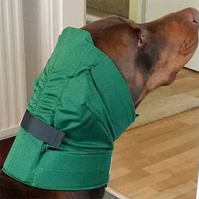 EAR WRAP NO FLAP XL PIN PT J1446E