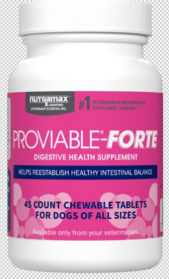 PROVIABLE-FORTE CHEW TABS(180'S)