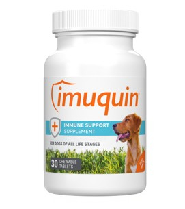 IMUQUIN HELTH SUPPL CHEW TABS-DOGS