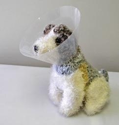 COLLAR CASEY CLEAR 12.5CM J0047G