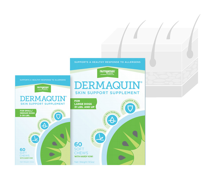 DERMAQUIN SFT CHW SM/MD DOG & CATS