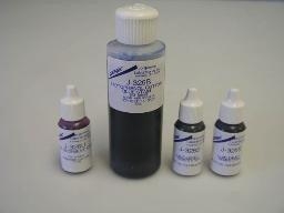 STAIN URINE SEDIMENT J0326U