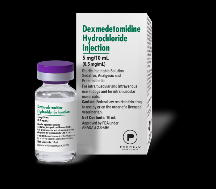 DEXMEDETOMIDINE HCL INJ 0.5MG/ML
