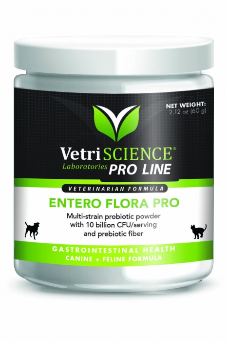 VET STRENGTH GUT HEALTH PWD-CAT&DG