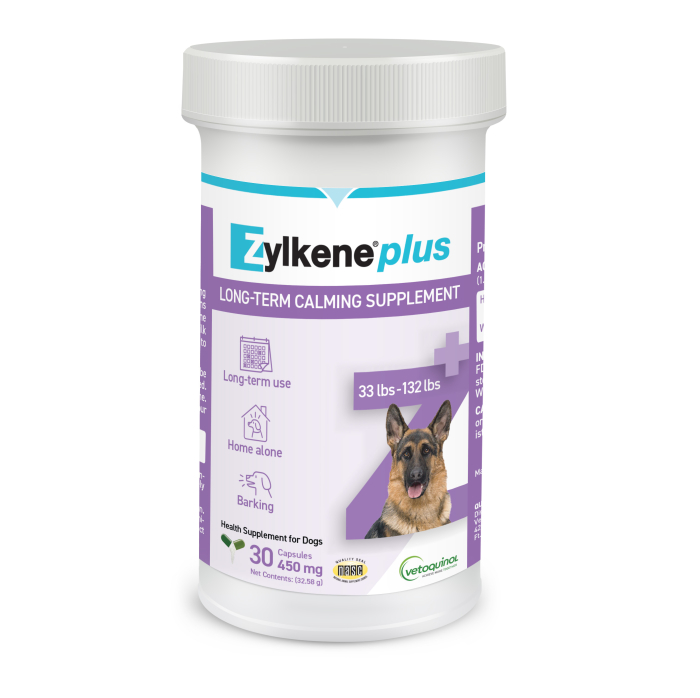 ZYLKENE PLUS 450MG CAP