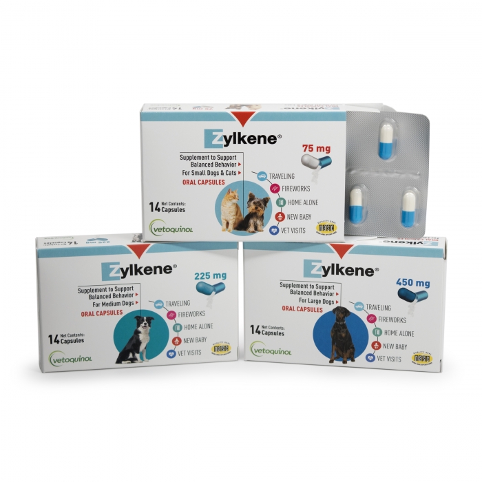 ZYLKENE 225MG CAP (BLISTER PACK)