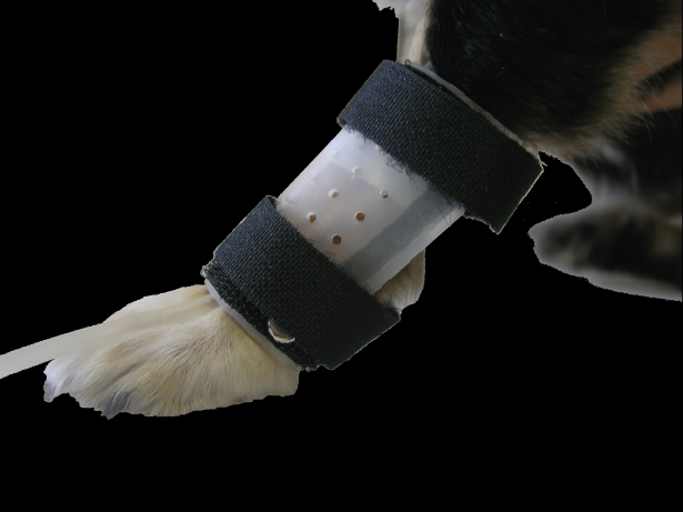 IV CATHETER GUARD SMALL J0644 - First Veterinary Supply