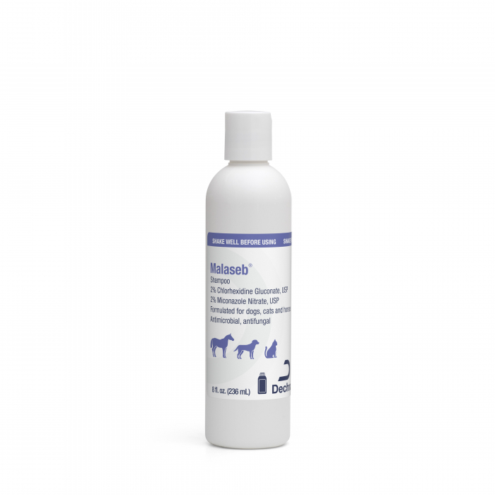 MALASEB SHAMPOO First Veterinary Supply