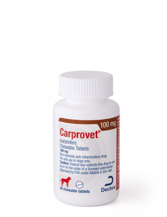 CARPROFEN CHEW TAB 100MG