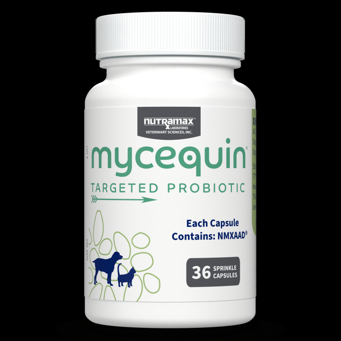 MYCEQUIN PROBIOTIC CAPS