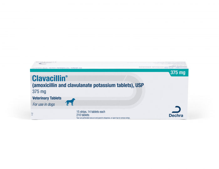 AMOXICILLIN/CLAVULANATE 375MG