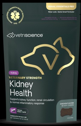 VET STRENGTH KIDNEY HEALTH CH-DOGS