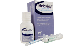 New Products – First Veterinary Supply